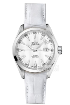 OMEGA SEAMASTER 231.13.34.20.04.001(23113342004001) <em>watch</em>