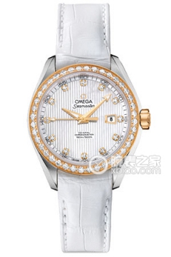 OMEGA SEAMASTER 231.28.34.20.55.001(23128342055001) <em>watch</em>