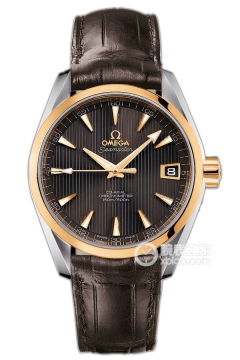 OMEGA SEAMASTER 231.23.39.21.06.002(23123392106002) <em>watch</em>