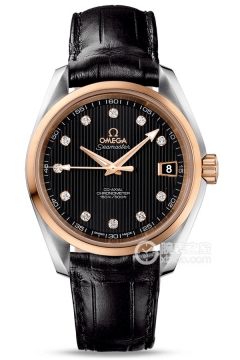 OMEGA SEAMASTER 231.23.39.21.51.001(23123392151001) <em>watch</em>