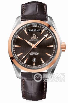 OMEGA SEAMASTER 231.23.42.22.06.001(23123422206001) <em>watch</em>