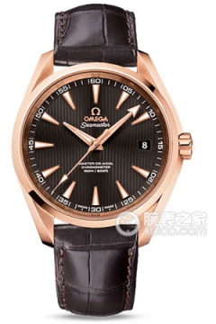 OMEGA SEAMASTER 231.53.42.21.06.002(23153422106002) <em>watch</em>