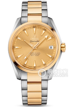 OMEGA SEAMASTER 231.20.39.21.08.001(23120392108001) <em>watch</em>