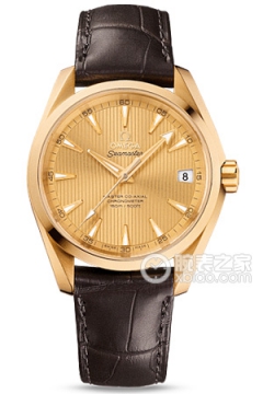 OMEGA SEAMASTER 231.53.39.21.08.001(23153392108001) <em>watch</em>