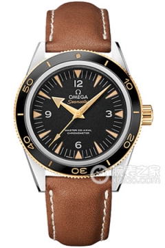 OMEGA SEAMASTER 233.22.41.21.01.001(23322412101001) <em>watch</em>