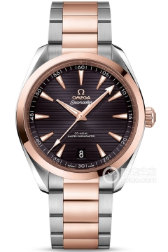 OMEGA SEAMASTER 220.20.41.21.06.001(22020412106001) <em>watch</em>