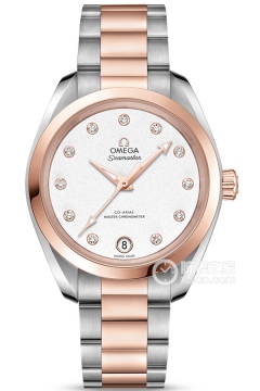 OMEGA SEAMASTER 220.20.34.20.52.001(22020342052001) <em>watch</em>
