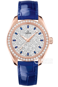 OMEGA SEAMASTER 220.58.34.20.99.002(22058342099002) <em>watch</em>