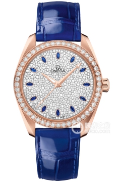 OMEGA SEAMASTER 220.58.38.20.99.002(22058382099002) <em>watch</em>