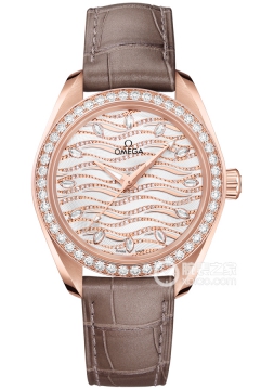 OMEGA SEAMASTER 220.58.34.20.99.006(22058342099006) <em>watch</em>