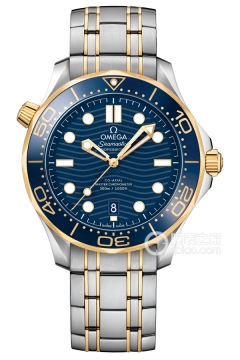 OMEGA SEAMASTER 210.20.42.20.03.001(21020422003001) <em>watch</em>