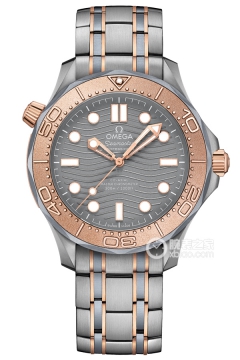 OMEGA SEAMASTER 210.60.42.20.99.001(21060422099001) <em>watch</em>