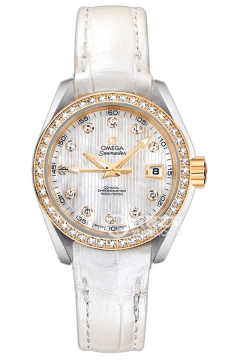 OMEGA SEAMASTER 231.28.30.20.55.002(23128302055002) <em>watch</em>