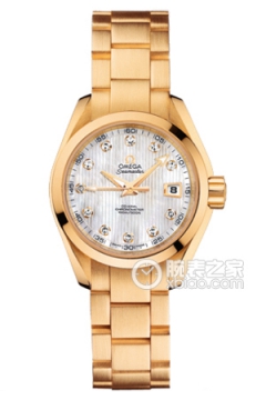 OMEGA SEAMASTER 231.50.30.20.55.002(23150302055002) <em>watch</em>