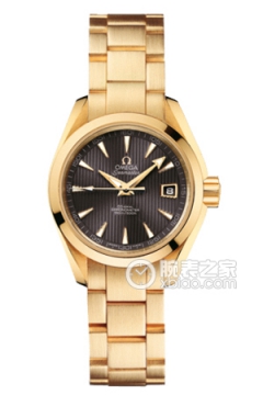 OMEGA SEAMASTER 231.50.30.20.06.002(23150302006002) <em>watch</em>