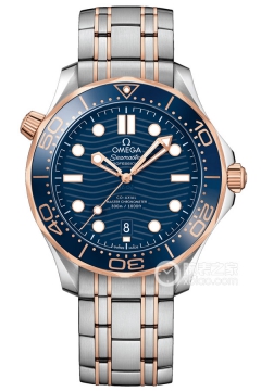 OMEGA SEAMASTER 210.20.42.20.03.002(21020422003002) <em>watch</em>