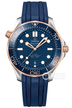 OMEGA SEAMASTER 210.22.42.20.03.002(21022422003002) <em>watch</em>