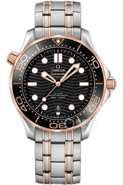 OMEGA SEAMASTER 210.20.42.20.01.001(21020422001001) <em>watch</em>