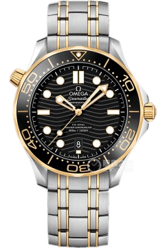 OMEGA SEAMASTER 210.20.42.20.01.002(21020422001002) <em>watch</em>
