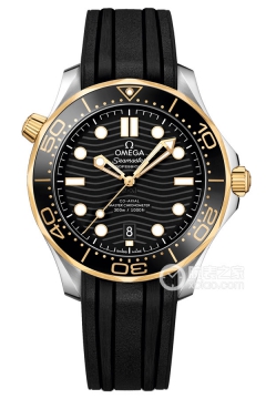 OMEGA SEAMASTER 210.22.42.20.01.001(21022422001001) <em>watch</em>