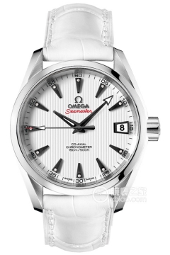 OMEGA SEAMASTER 231.13.39.21.54.001(23113392154001) <em>watch</em>