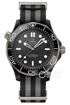 OMEGA SEAMASTER 210.92.44.20.01.002(21092442001002) <em>watch</em>