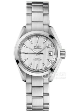 OMEGA SEAMASTER 231.10.30.20.02.001