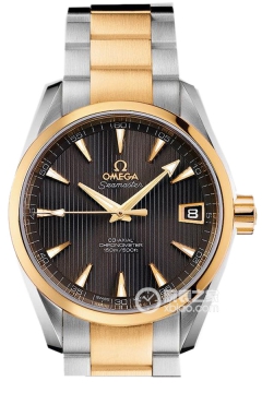 OMEGA SEAMASTER 231.20.39.21.06.002(23120392106002) <em>watch</em>