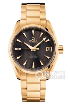 OMEGA SEAMASTER 231.50.39.21.06.002(23150392106002) <em>watch</em>