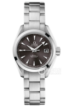OMEGA SEAMASTER 231.10.30.20.06.001