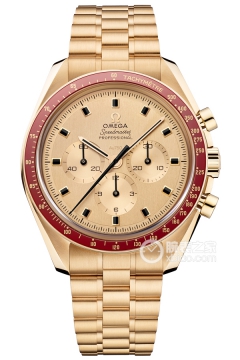 OMEGA SPEEDMASTER 310.60.42.50.99.001(“阿波罗11号”登月50周年31060425099001) <em>watch</em>