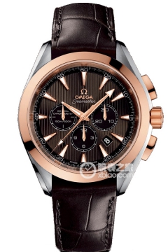 OMEGA SEAMASTER 231.23.44.50.06.001(23123445006001) <em>watch</em>