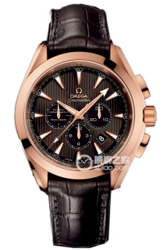 OMEGA SEAMASTER 231.53.44.50.06.001(23153445006001) <em>watch</em>