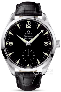 OMEGA SEAMASTER 221.53.49.10.01.002(22153491001002) <em>watch</em>