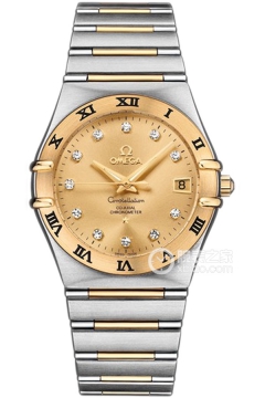 OMEGA CONSTELLATION 111.20.36.20.58.001