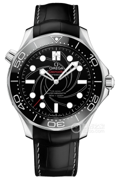 OMEGA SEAMASTER 210.93.42.20.01.001(“詹姆斯·邦德”编号版腕表21093422001001) <em>watch</em>