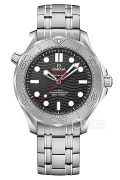 OMEGA SEAMASTER 210.30.42.20.01.002(Nekton版腕表21030422001002) <em>watch</em>