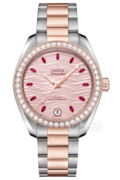 OMEGA SEAMASTER 220.25.34.20.60.001(22025342060001) <em>watch</em>