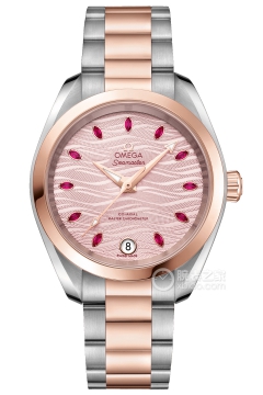 OMEGA SEAMASTER 220.20.34.20.60.001(22020342060001) <em>watch</em>