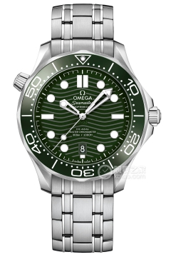 OMEGA SEAMASTER 210.30.42.20.10.001(21030422010001) <em>watch</em>
