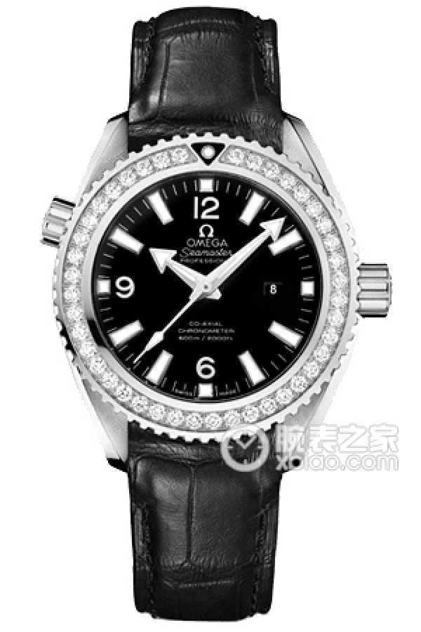 OMEGA SEAMASTER 232.18.38.20.01.001