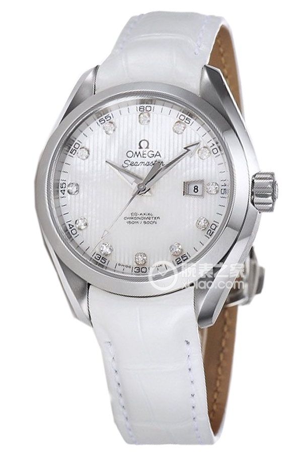 OMEGA SEAMASTER 231.13.34.20.55.001