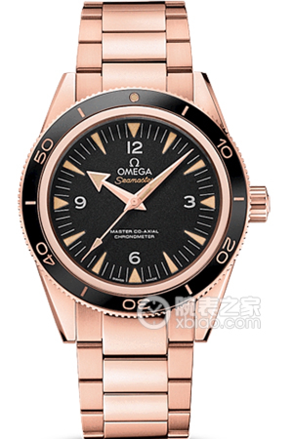 OMEGA SEAMASTER 233.60.41.21.01.001
