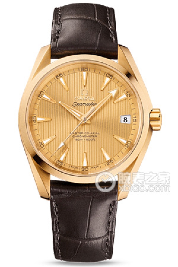 OMEGA SEAMASTER 231.53.39.21.08.001