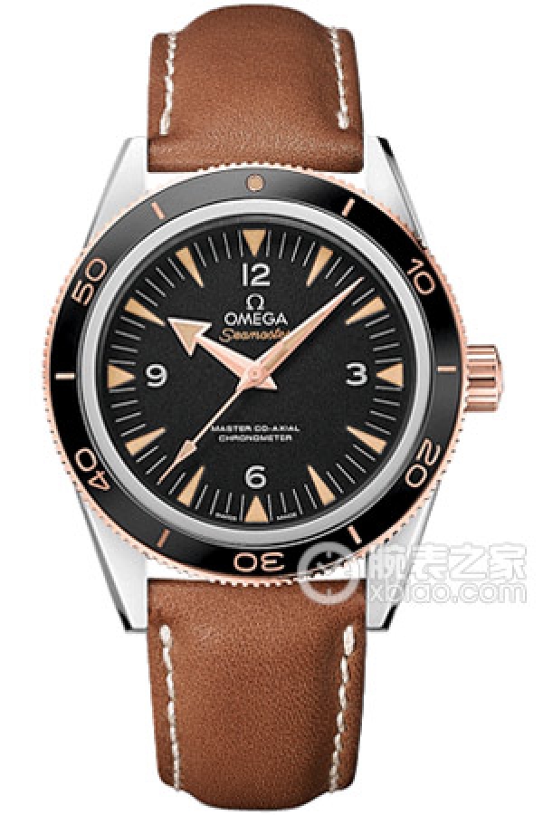 OMEGA SEAMASTER 233.22.41.21.01.002