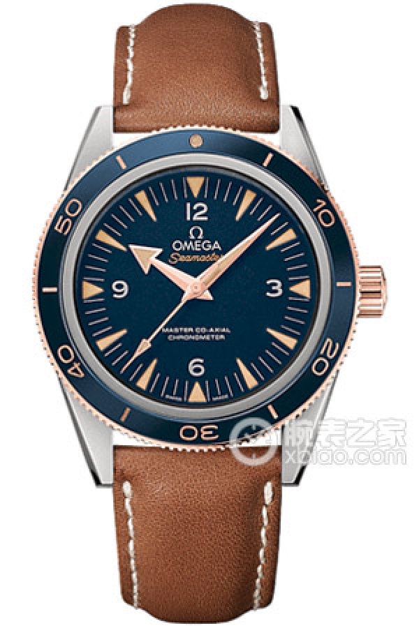 OMEGA SEAMASTER 233.62.41.21.03.001