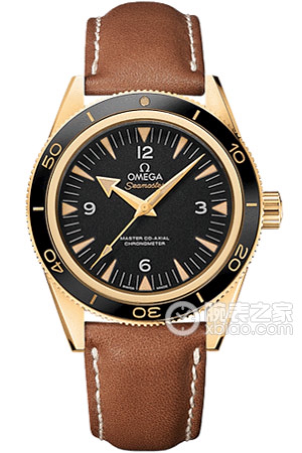 OMEGA SEAMASTER 233.62.41.21.01.001