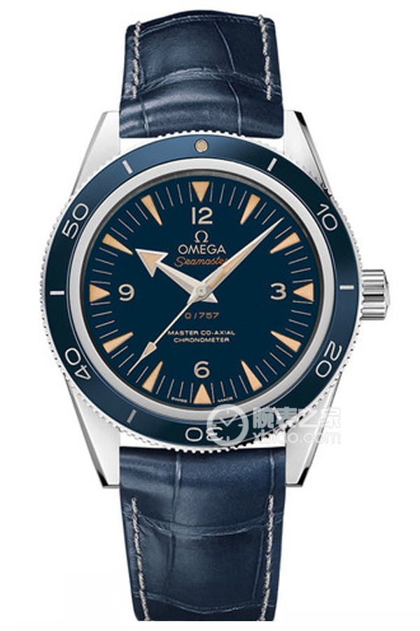 OMEGA SEAMASTER 233.93.41.21.03.001