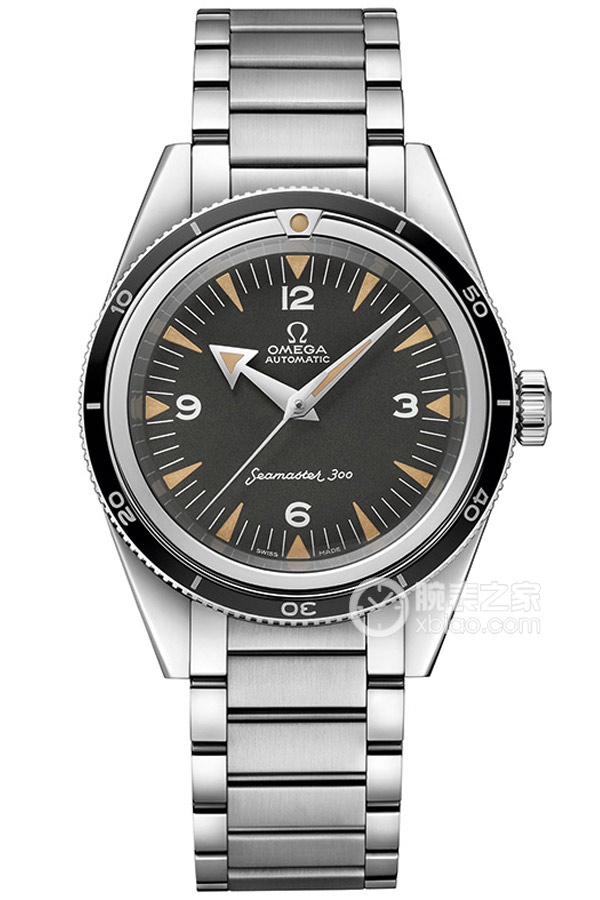 OMEGA SEAMASTER 234.10.39.20.01.001