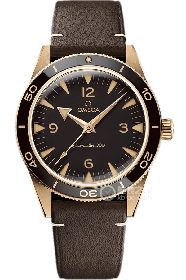 OMEGA SEAMASTER 234.92.41.21.10.001 (Bronze Gold Edition)